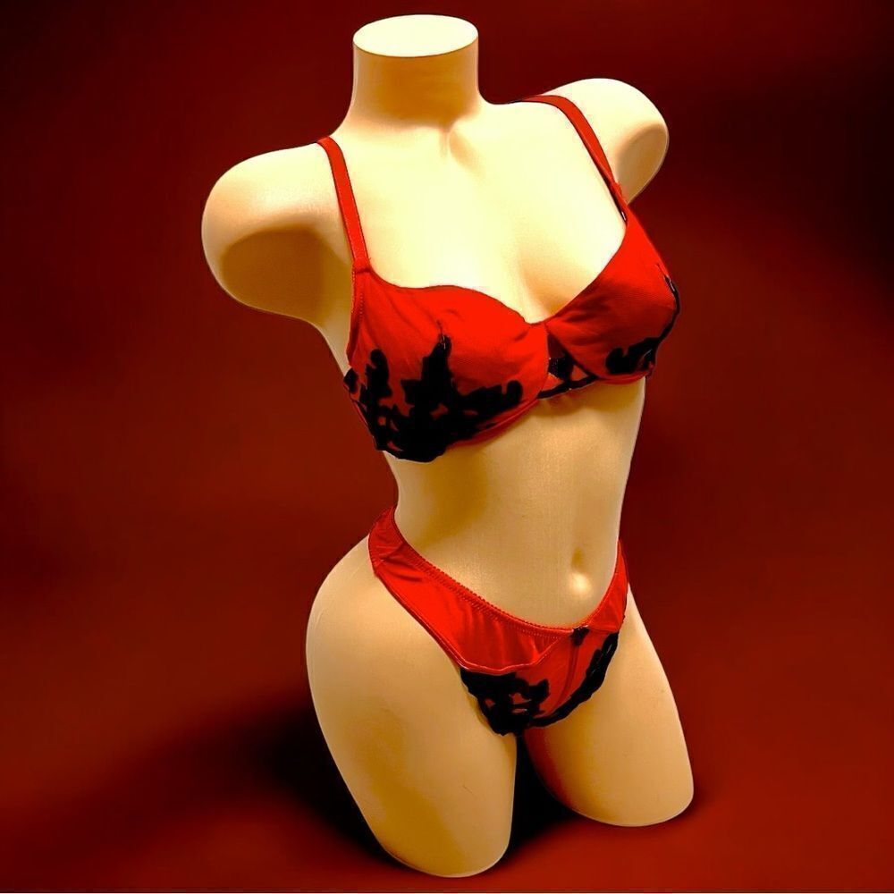 Vintage Y2K Felina bra and thong set in red mesh and black floral embroidery 34C